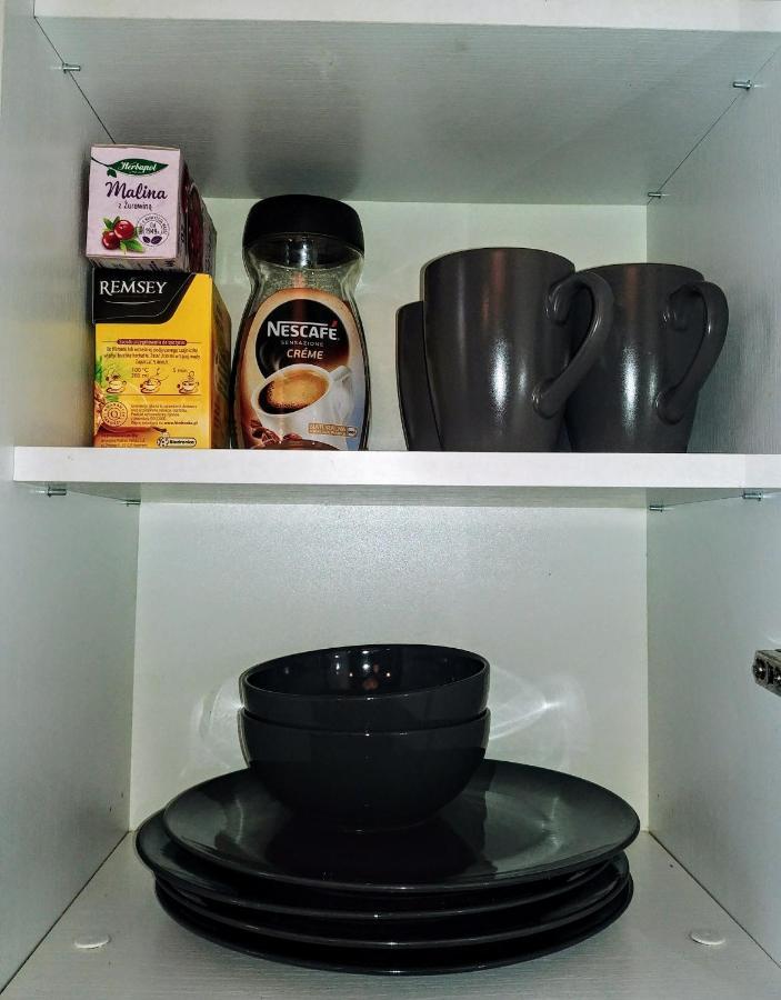 レグニツァApatrament Jagielonskaアパートメント エクステリア 写真